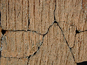 Accokeek cord-marked, mica-tempered sherds. Close up view on right from Kettering Park, site 18PR174/278.